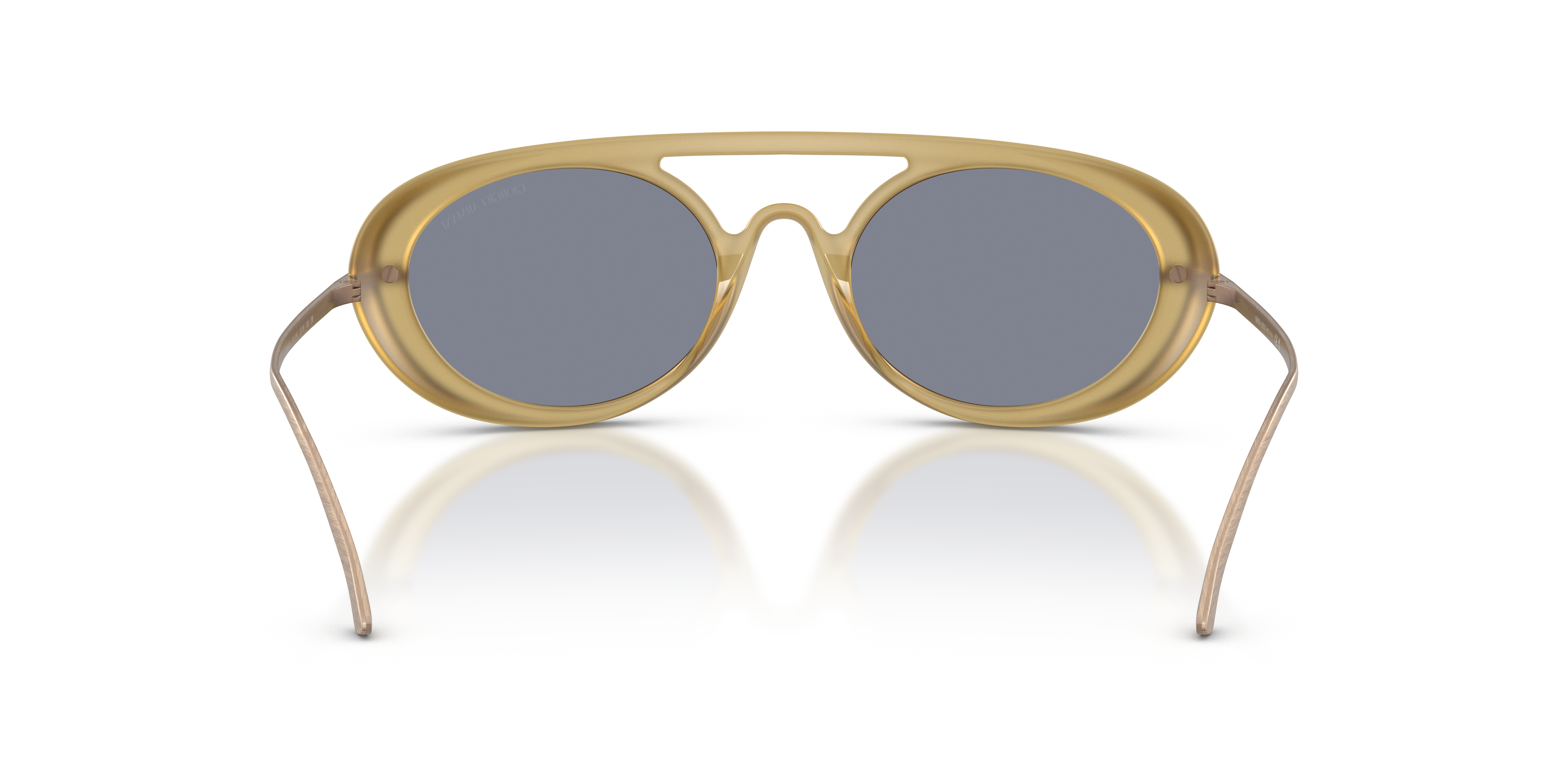 Giorgio Armani AR8256 641119  